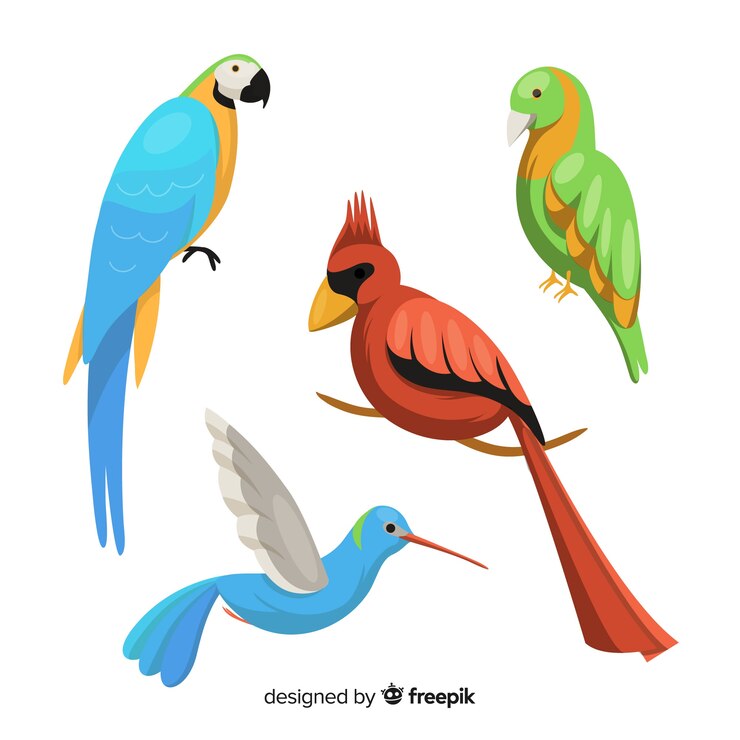 Free Vector flat design exotic birds collection