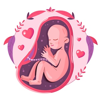 Flat design fetus illustration