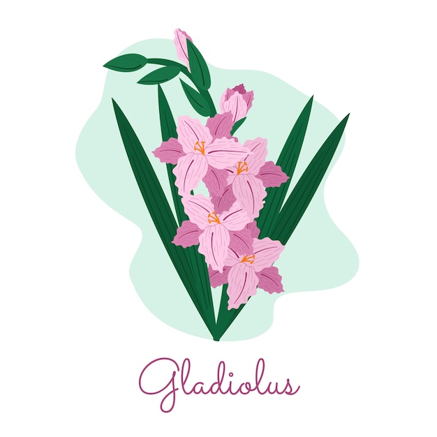 Flat design gladiolus illustration