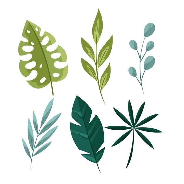 Flat design green leaves collection