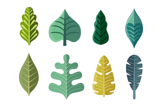 Free vector flat design green leaves collection