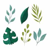 Free vector flat design green leaves