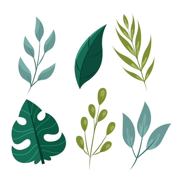 Зеленые листья в плоском дизайне