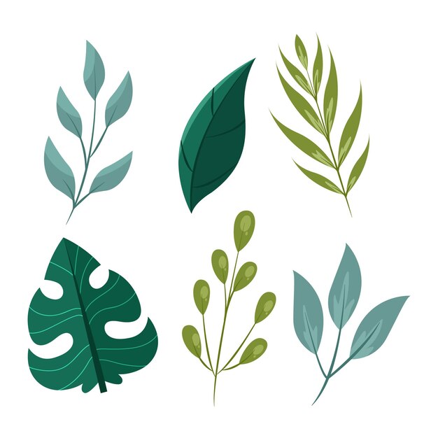 Flat design green leaves