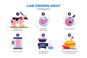 Free vector flat design grown meat infographic