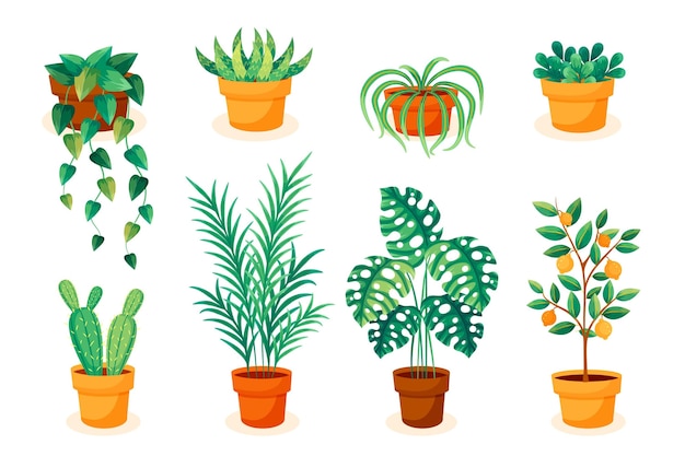 Flat design houseplant collection