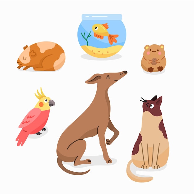 Flat design illustration different pets set