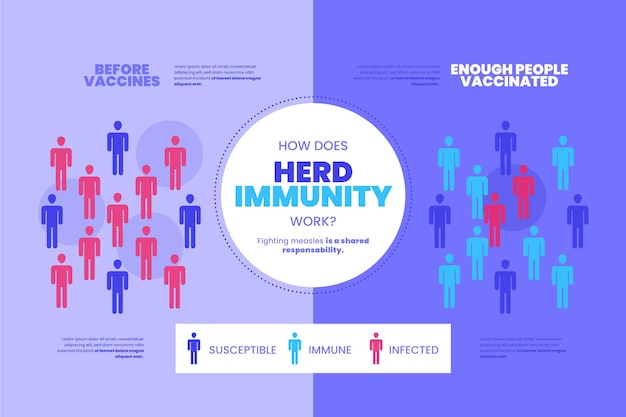 Flat design of immunity infographic design – Free Vector Download