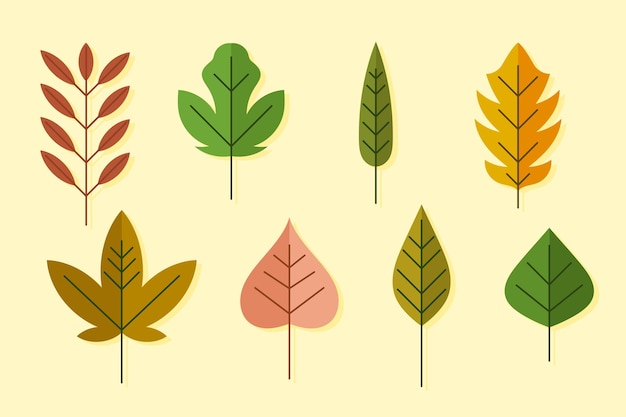 Free vector flat design of leaves collection