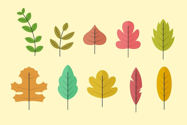 Flat design of leaves collection