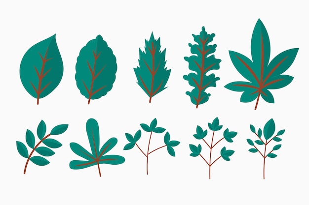 Flat design of leaves collection