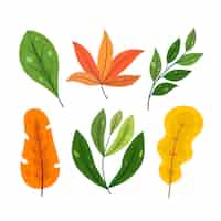 Free vector flat design leaves collection