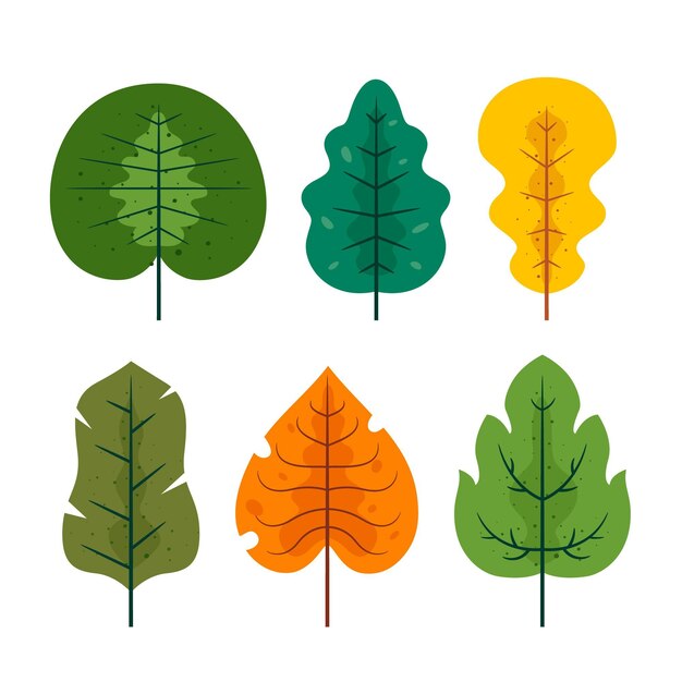 Flat design leaves collection