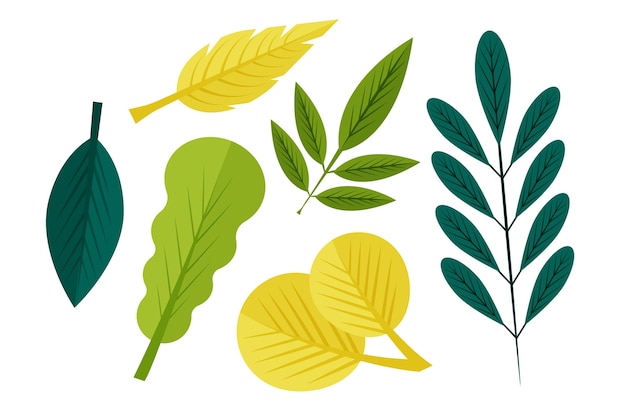 Flat design leaves set