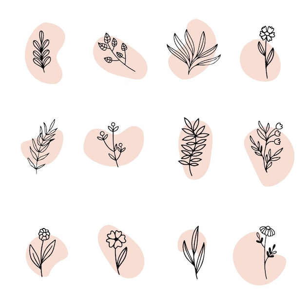 Free vector flat design of linear leaves and flowers