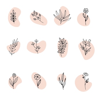 Flat design of linear leaves and flowers