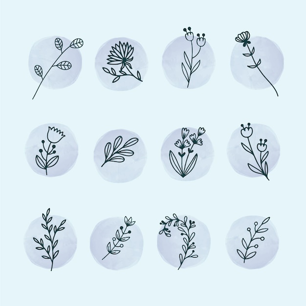 Free vector flat design of linear leaves and flowers