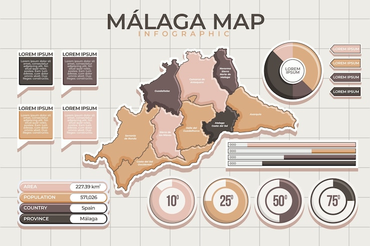 Free Vector flat design málaga map