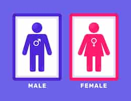 Free vector flat design male female symbols