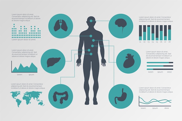 무료 벡터 평면 디자인 의료 infographic 템플릿