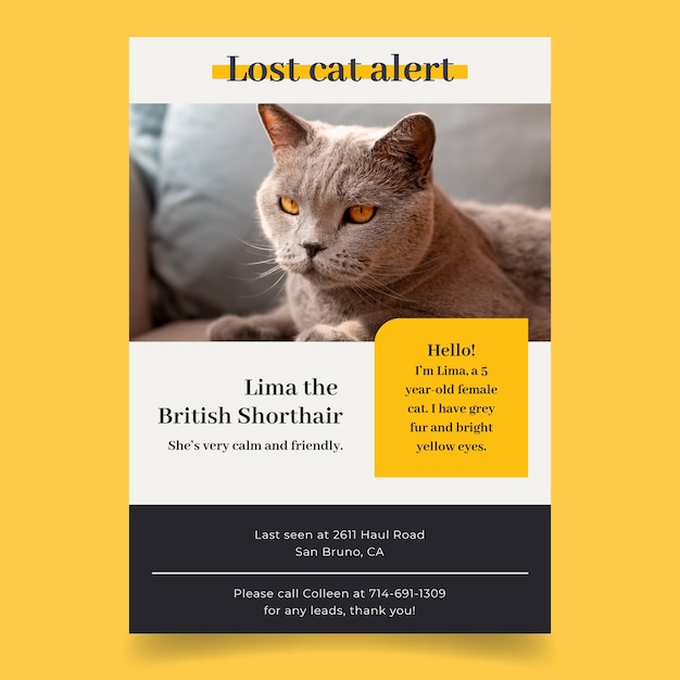 Flat design modern lost cat poster template