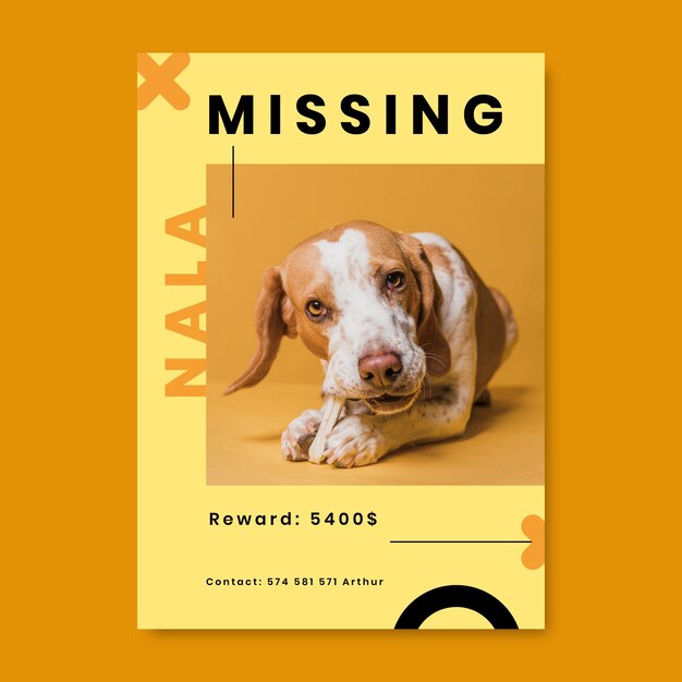 Flat design modern nala lost dog poster