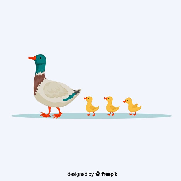 Flat design mother duck and cute ducklings