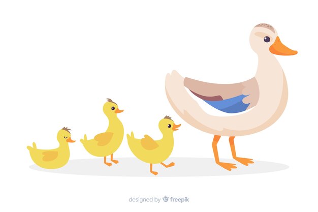 Flat design mother duck and her ducklings together on water 