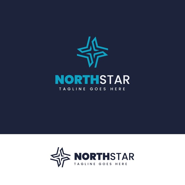 Flat design north star logo