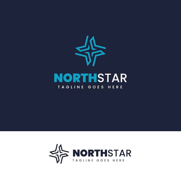 Flat design north star logo