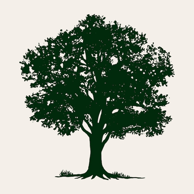 Flat design  oak tree silhouette