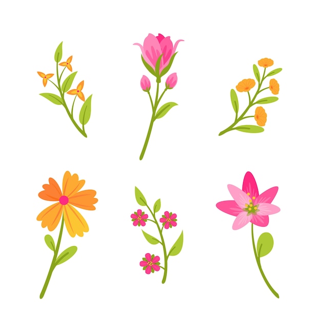 Flat design orange and pink flowers