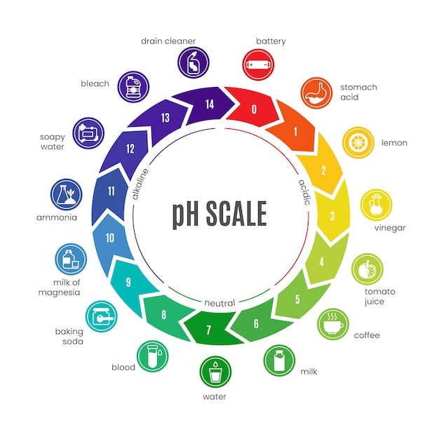 무료 벡터 평면 디자인 ph 규모 infographic