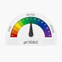 Бесплатное векторное изображение Плоский дизайн инфографики по шкале ph