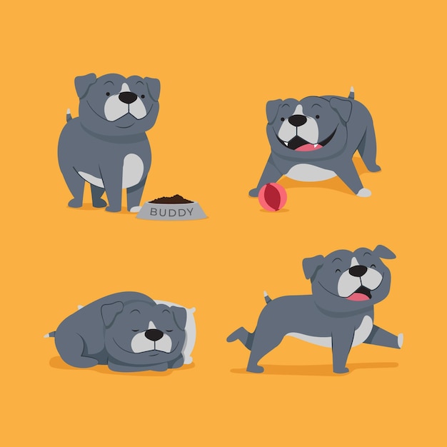 Flat design pitbull puppies collection