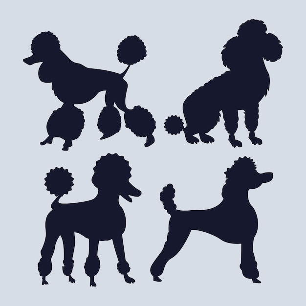 Flat design poodle silhouette set