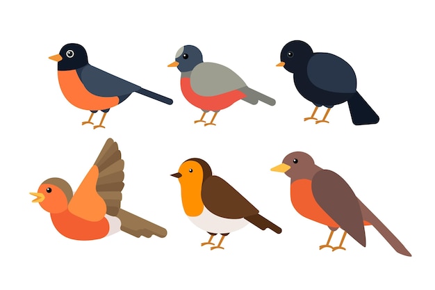 Flat design robin collection