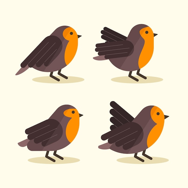 Free vector flat design of robin collection