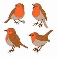 Free vector flat design of robin collection