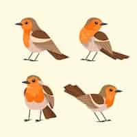 Free vector flat design robin set