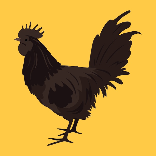 Illustrazione del gallo design piatto