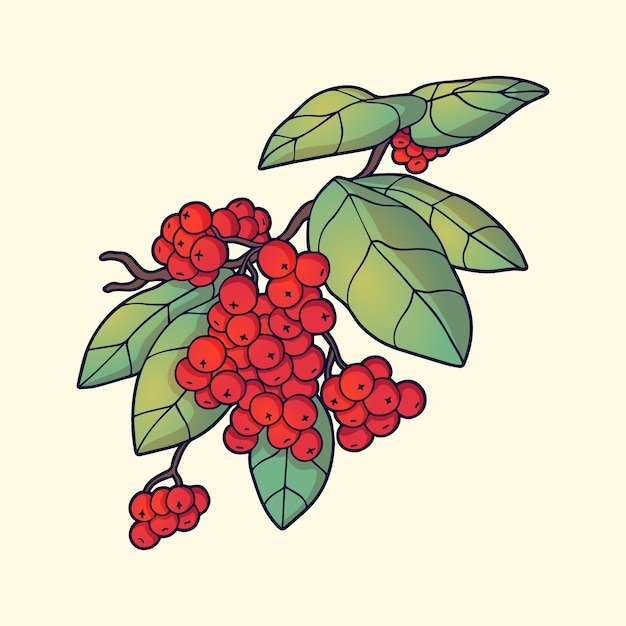 Free vector flat design rowan illustration