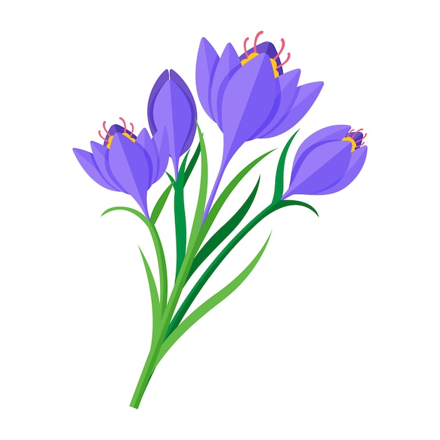 Flat design saffron illustration