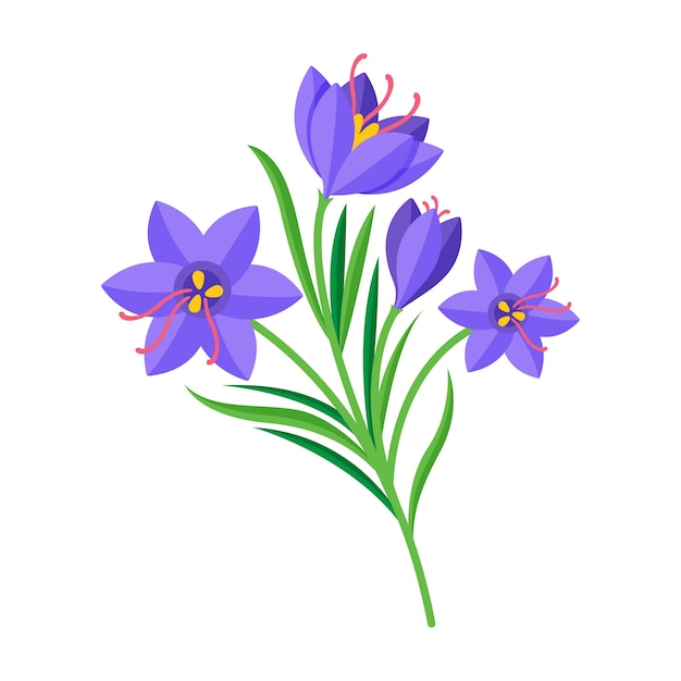 Flat design saffron illustration