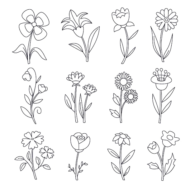 Free vector flat design simple flower outline