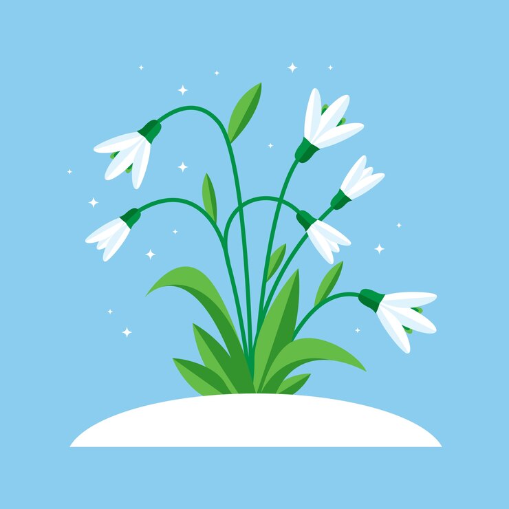 Free Vector flat design snowdrop illustration