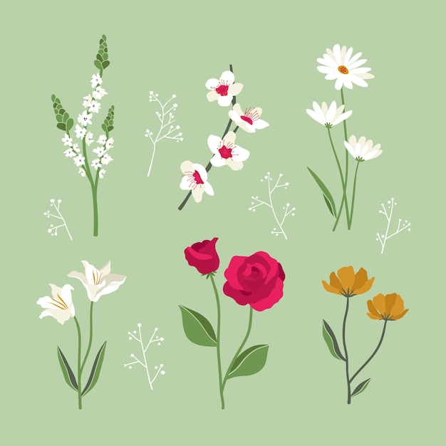 Free vector flat design spring blooming flowers