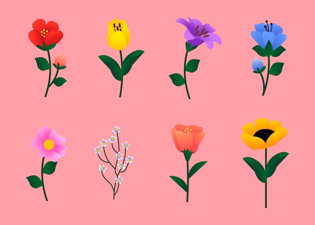 Flat design spring flowers collection