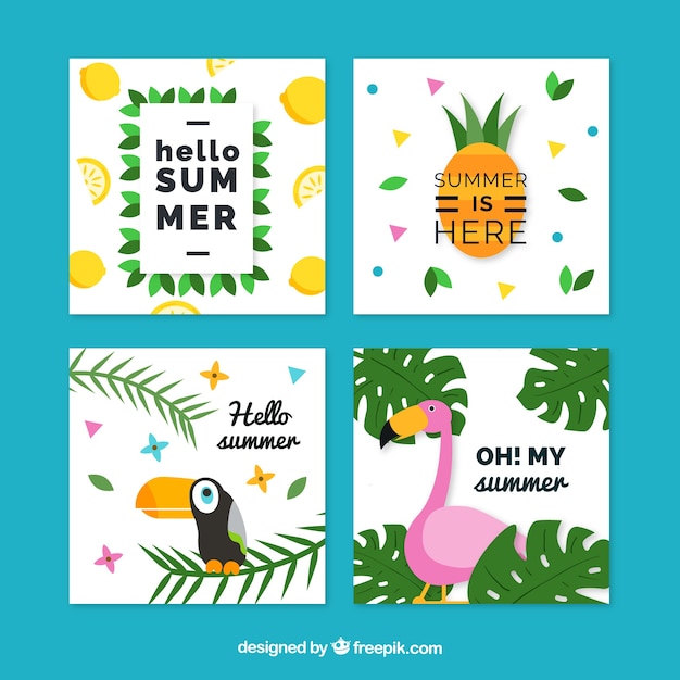 Flat design tropical summer cards