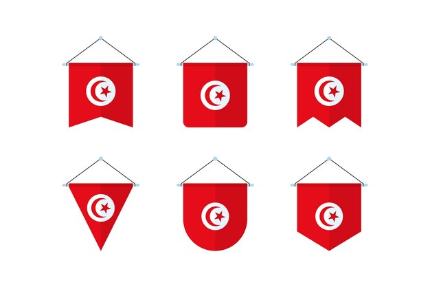 Flat design tunisia national emblems